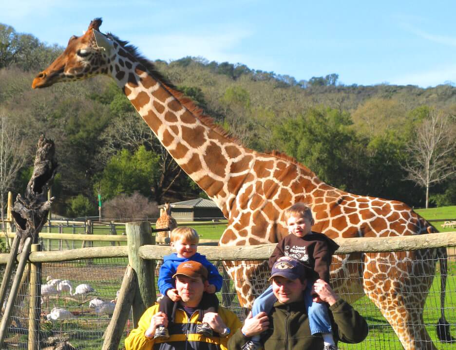 Fun-Things-to-do for-Families-with-Kids-.jpeg